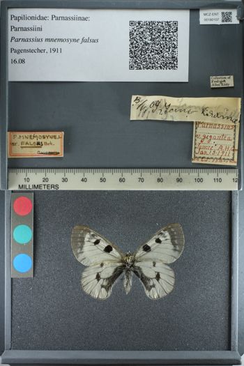 Media type: image;   Entomology 180107
